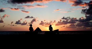 Illustration for article titled Shooting Challenge Silhouettes Gallery 3